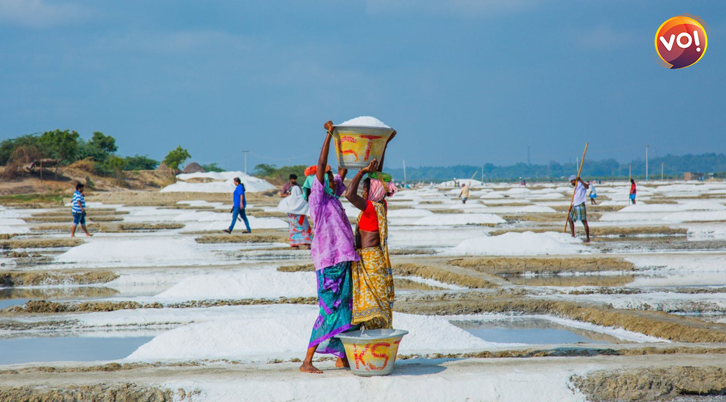 salt farmers