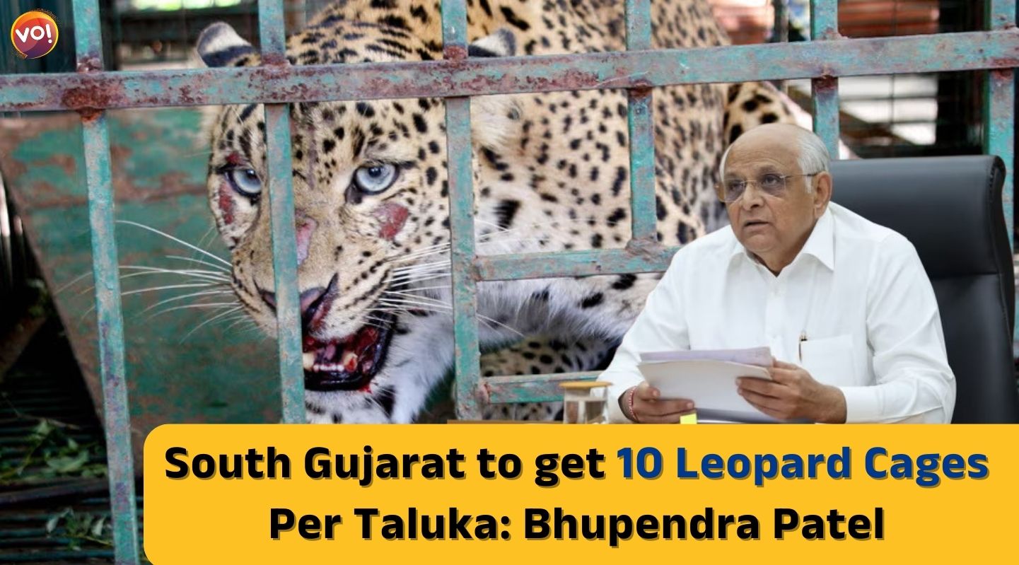 South Gujarat to get 10 leopard cages per taluka, says Gujarat Government